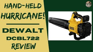 DeWalt 20V Blower Review [upl. by Adallard]