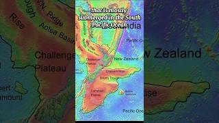 Did you know about Zealandia 🤔 geography zealandia [upl. by Artimid]