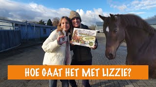 HOE GAAT HET MET LIZZIE  PaardenpraatTV [upl. by Refenej912]