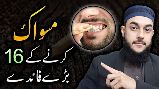 Miswak Karne Ke 16 Fayde  Miswak Karne Ki Fazilat  16 Benefits of Miswaak [upl. by Elazaro278]