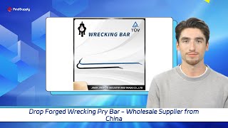 Drop Forged Wrecking Pry Bar  Wholesale Supplier from China [upl. by Reiner]