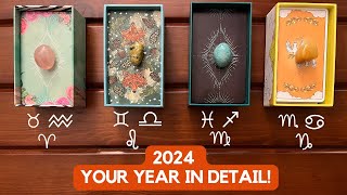 2024 Your Year in Detail ✨🎥 🎞 👀✨ ❷⓪❷❹ ✨ [upl. by Hamimej]