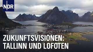 Wie Tallinn und die Lofoten in die Zukunft gehen  Ostseereport  NDR Doku [upl. by Peery]