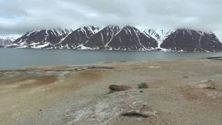 Spitzbergen  Thermalquelle Jotunkjeldene [upl. by Atinahc]