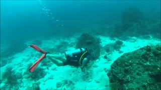 Diving Seychelles GoPro [upl. by Ecnarolf]