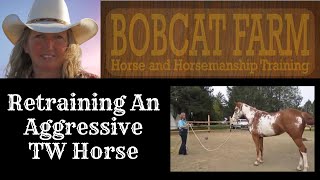 Retraining An Aggressive TW Horse [upl. by Ecahc]