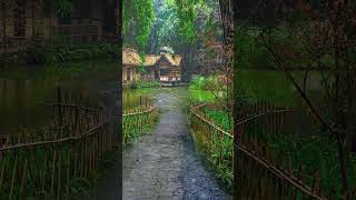 Rainy Jungle Retreat Natures Perfect Hideaway 🌧️🌿 shorts shortvideo shortsfeed viralshorts [upl. by Elleynad]