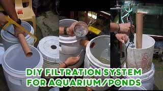 3 Chamber DIY Filtration System for Aquarium and ponds [upl. by Ynabe]