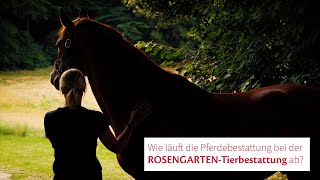 Wie läuft die Pferdebestattung bei der ROSENGARTENTierbestattung ab [upl. by Adilem511]