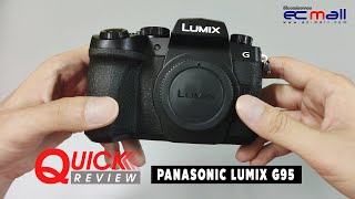 Quick Review  Panasonic Lumix G95 [upl. by Kisung]