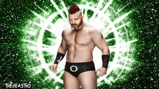 WWE Sheamus 5th amp NEW Theme Song Hellfire 2015 [upl. by Iahk502]