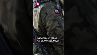 В Польше проходит масштабный призыв в военкоматы польша армия новости политика призыв [upl. by Rraval]