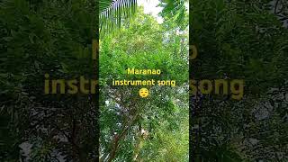 music my favorite songs maranao love song [upl. by Carli]