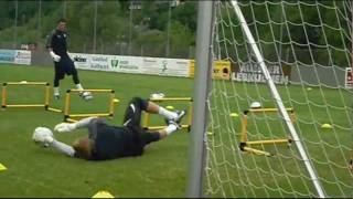 Sheffield Wednesday Goalkeeper Training [upl. by Kristianson]