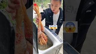 Chicken in the washing machine OMG 🤣short chicken funny [upl. by Hamforrd]