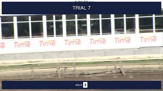 Sheffield Trials on 6th November 2023 [upl. by Jilli]