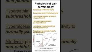 Pathological pain terminology [upl. by Alyssa477]