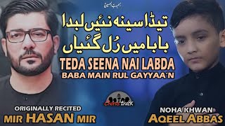 Noha Bibi Sakina 2020  Tera Seena Nahi Labda  Mir Hasan Mir Noha 2020  Aqeel Abbas 13 Safar Noha [upl. by Nivar734]