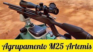 M25 THUNDER BLACK ARTEMIS AGRUPAMENTO CHUMBO JSB DE 15 E 18 GRAINS LUNETA WHEST HUNTER 624X50FFP [upl. by Ttsepmet]