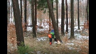 Extrem gefährlichen Hänger mit 16 t Seilzug eliminieren [upl. by Katzir522]