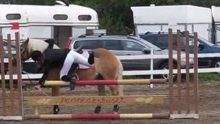 Showjumping FALLS and BLOOPERS  Avramlingar  Horsefails [upl. by Thurstan]