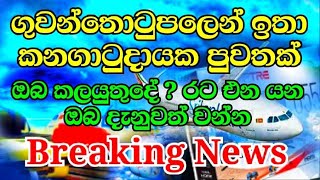 Katunayake Airport arrival passenger breaking News today l 3rd December 2021 l Sri Lanka Airport [upl. by Avin]