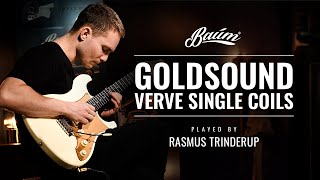 Goldsound Verve Single Coils  All 5 sounds  Baum Guitars [upl. by Rabush917]