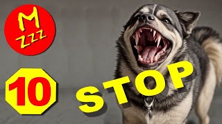 Stop Dogs Barking with Ultra High Pitch Dog Whistle [upl. by Torbart21]