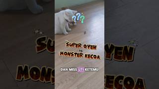 Super Oyen amp Miss Uti vs Monster Kecoa catchallenge kucinggemoy kucinglucu kucingpintar [upl. by Janifer819]