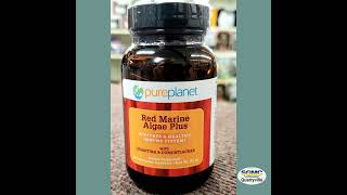 Red Marine Algae Helps the Body [upl. by Yemarej1]