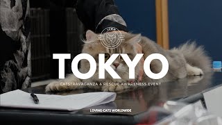 All About Cats 🐈🐈🐈 I Tokyo CATstravaganza amp Rescue Awareness Event 2023 [upl. by Ayortal]