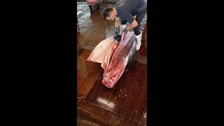 Worlds Sharpest Tuna Knife！Amazing Giant bluefin tuna cutting Master [upl. by Robby]