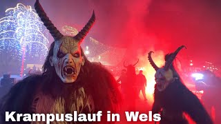 Krampuslauf in Wels 2023 🇦🇹 Wels Austria [upl. by Bealle]