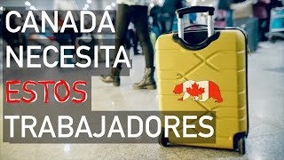 Oportunidad de Empleos en Canadá [upl. by Mullane]