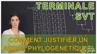 Comment justifier un arbre phylogénétique   SVT  Terminale  Les Bons Profs [upl. by Adele]