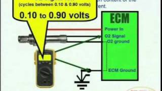 O2 Sensor amp Wiring Diagrams [upl. by Marcello565]