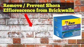 Prevent Shora  Efflorescence from Brick Walls with Dr Fixit Fastflex [upl. by Jarlathus471]