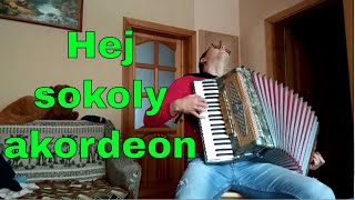 Hej sokoły  akordeon [upl. by Grissel]