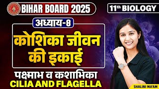 Cilia and Flagella L6  Cell The Unit of Life  Class 11th Biology Chapter 8 Bihar Board [upl. by Enineg]