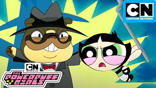 Puppy Fight  New Powerpuff Girls Compilation  Cartoon Network [upl. by Attenev144]