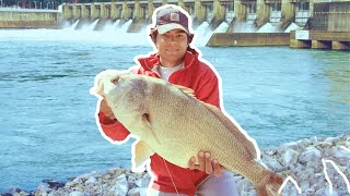 How to catch FISH at the Dam Lake Guntersville [upl. by Giff224]