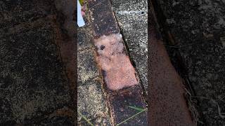 Oxalic acid cleaning agent can quickly remove old dirt from floor tiles viralvideo youtubeshorts [upl. by Nikki]