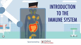 Introduction to the immune system [upl. by Resor]