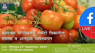 सध्याच्या परिस्थितीत टोमॅटो पिकातील समस्या व अन्नद्रव्ये व्यवस्थापन [upl. by Avrit]