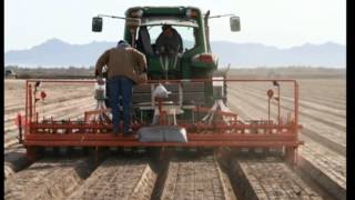 2012 Yuma Salicornia Planting 5min 15 sec [upl. by Akiria]