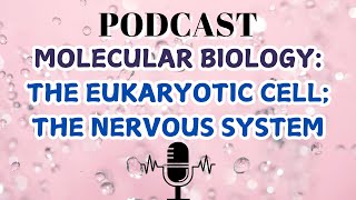 MOLECULAR BIOLOGYTHE EUKARYOTIC CELL THE NERVOUS SYSTEM [upl. by Charie337]