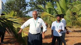 Management of Rugose Spiraling Whitefly  Dr S Sridharan Principal [upl. by Kristie]