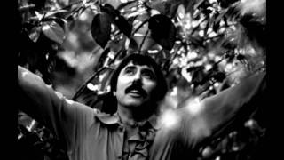 Lee Hazlewood  Bye Baby [upl. by Eahsram]