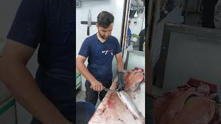 High skill salmon filleting fishcuting [upl. by Weinstock630]