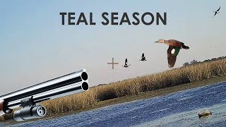 Duck Hunting Teal  25 Kills  by ShotKam [upl. by Lindbom]